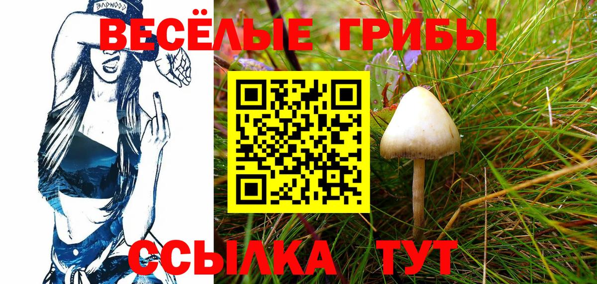 Галлюциногенные грибы Cubensis Клин