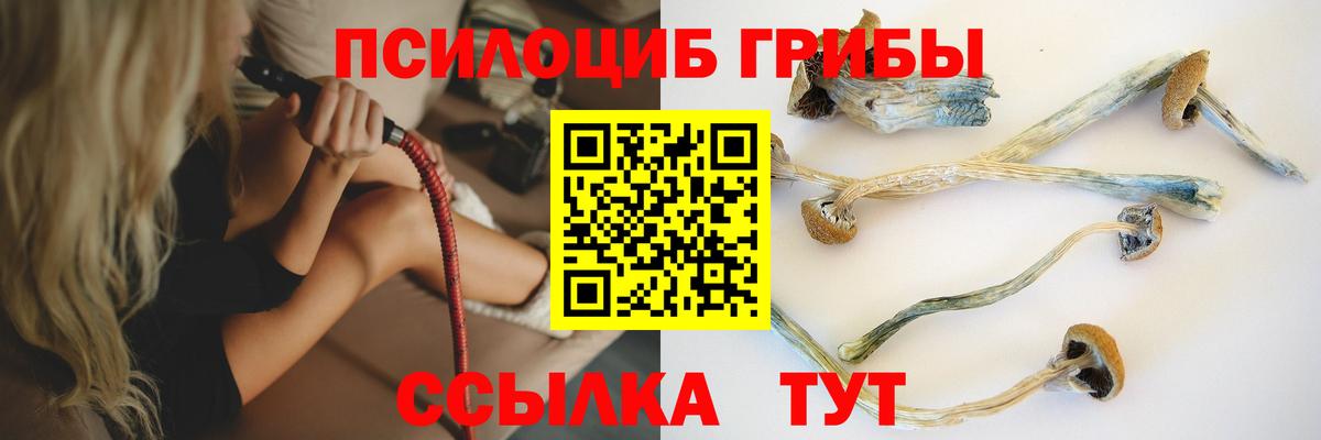 Псилоцибиновые грибы мухоморы  Вход с VPN  Клин 